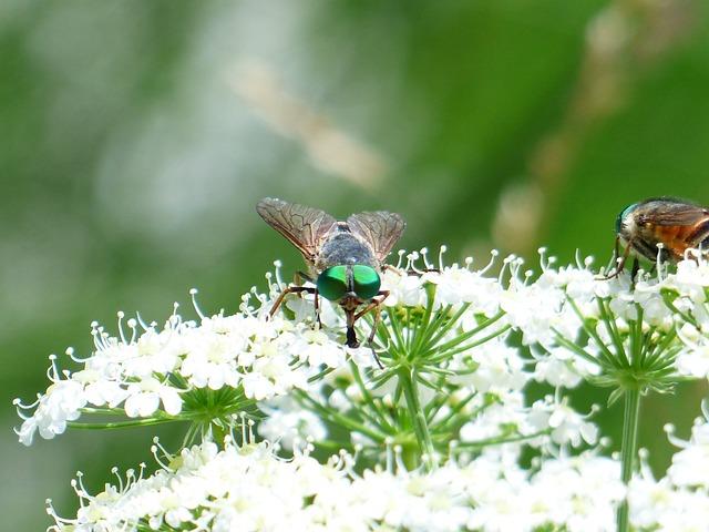 Účinné metody úlevy od svědění očí: Jak‌ zmírnit nepříjemné pocity a zbavit se svědění?