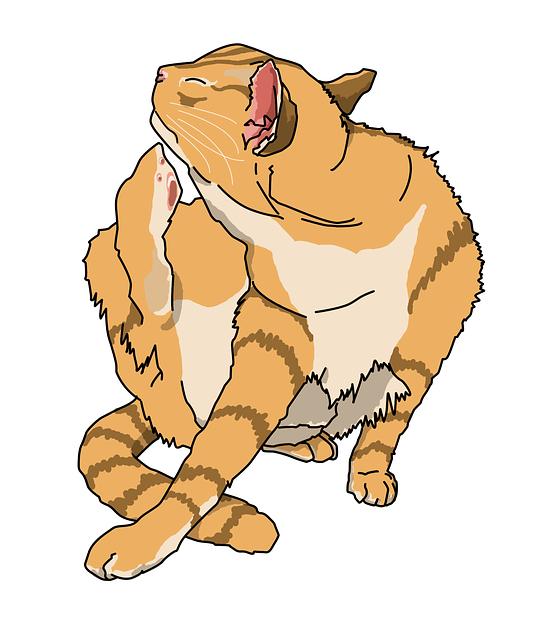 Prevence nepříjemného svědění⁢ očí: Jak se vyhnout podráždění a minimalizovat riziko svědění?