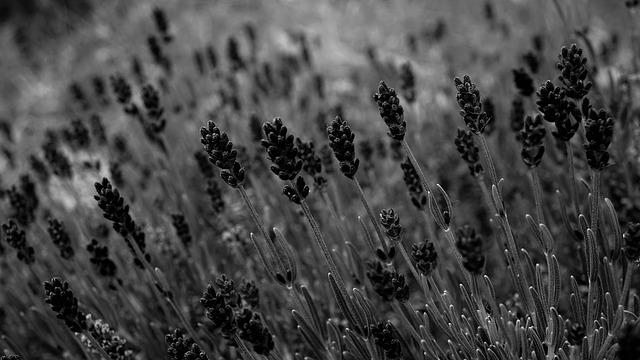 Ztráta čichu: Možné příčiny a řešení