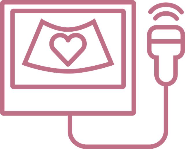 - Lehká opora při plánování těhotenství