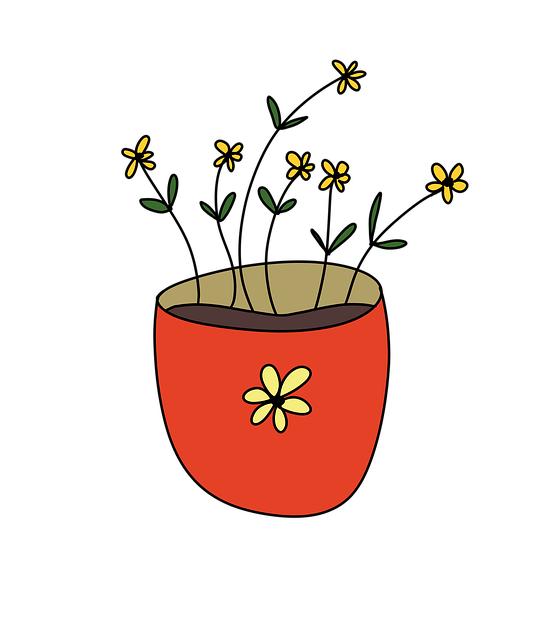 Vhodný výběr květináče pro pěstování stevie na balkoně